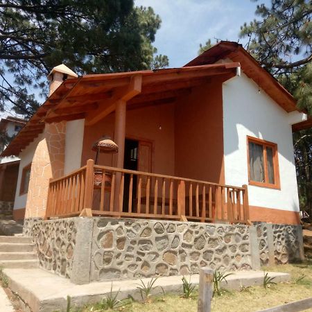 Cabanas Del Bosque Villa Mazamitla Exterior photo